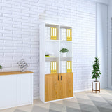 Phoenix  File Cabinets | IFFC-106