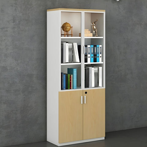 Phoenix  File Cabinets | IFFC-106