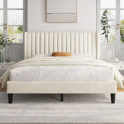 Tora BED | IFB-120