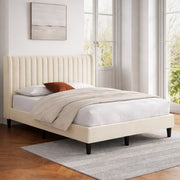 Tora BED | IFB-120