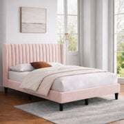 Tora BED | IFB-120