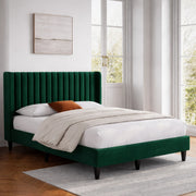 Tora BED | IFB-120