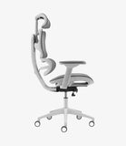 Condi Chair | IFC-210