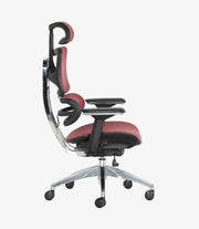Condi Chair | IFC-210