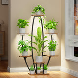 Flower plant Stand | IFFPS-104