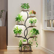 Flower plant Stand | IFFPS-103
