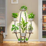 Flower plant Stand | IFFPS-104