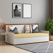 Sofa Cum Bed-IFSCB-202