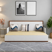 Sofa Cum Bed-IFSCB-202