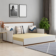 Sofa Cum Bed-IFSCB-202